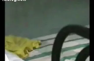 सिल्वी 666 उसे इंग्लिश ब्लू मूवी सेक्सी बिल्ली के साथ खेलता है