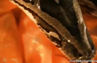 हॉट सुडौल सेक्सी मूवी इंग्लिश क्यूबा