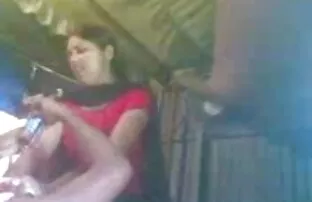 सुंदर लड़कियों सेक्सी मूवी वीडियो इंग्लिश बिल्ली दूरी और खेलने