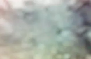 इस किशोर सेक्सी मूवी इंग्लिश हद फूहड़ पर रैक बाहर की जाँच करें