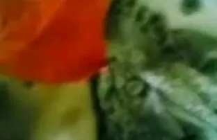 Gabi सेक्सी फिल्म इंग्लिश मूवी Paltrova डिक चूसने वाला