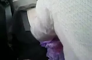 खेल मेरी बिल्ली के फुल मूवी सेक्सी इंग्लिश साथ फिर से