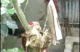 रिन यज़ावा को पूरे दिन एक कठिन डिक इंग्लिश सेक्सी मूवी वीडियो की सवारी करना पसंद है