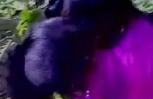 चाव हो जाता है एक सह सेक्सी फिल्म सेक्सी इंग्लिश चेहरा भिगोने से कई सह शॉट